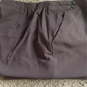 Dress pants. Tag on $34.99. Dressbarn. Size 22